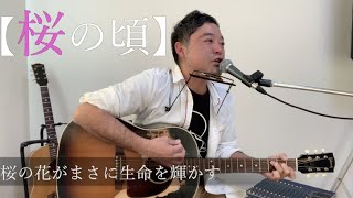 【ママチャリ日本一周ストリートライブの旅から生まれた】オリジナル曲【桜の頃】シンガーソングライター森源太が、人生を動かす大きな挑戦に震える足で一歩を踏み出したその自分に贈った代表曲の一つを弾き語り!!