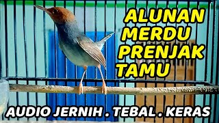 1 JAM SUARA PRENJAK GACOR DOR FULL NYAUT TOTAL MASTERAN PRENJAK KEPALA MERAH SUARA JERNIH POLL