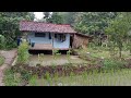 Menyusuri Kampung Di Saat Hujan Deras,, Air Sungai Deras Dan Keruh