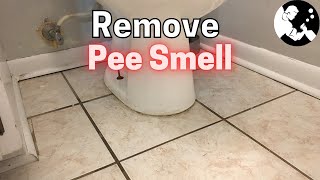 How To Remove Urine From Grout Around The Toilet!!