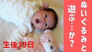 【生後19日】新生児赤ちゃん！クマのぬいぐるみと遊ぶ・・・か！？