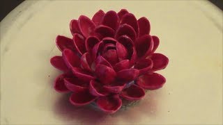 Recycle : Pistachio (pista) Shells flower (diy) Recycle : Pistachio (pista) Shells flower (diy)