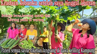 KEADAAN KEBUNKU SETELAH DI TINGGAL LIBURAN ‼️panen semua buah dan sayur dikebun hasilnya SAK UMBRUK