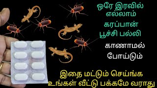 இனி வீட்டில் கரப்பான் பூச்சி, பல்லி தொல்லை இல்லை | cockroach killer|kitchen tips|#JJmum'skitchen