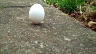 Spring Equinox 2010 Egg Balancing