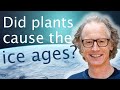 Global cooling: did plants cause the ice ages? - Liam Dolan ❄️🧊🌍