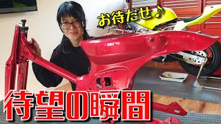 【カブ主目前】3ヶ月かけてレストアしたリトルカブが遂にバイクの形になりました♪（Vol.485）