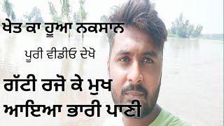 news ਫ਼ਿਰੋਜ਼ਪੁਰ ਗਵਾਂ ਮੈਂ ਭਾਰੀ ਪਾਣੀ ਗੱਟੀ ਰਾਜੋ ਕੇ #news#ferozepur #24news#punjabflood