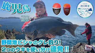 【釣り時季】野間池ビシャのグレ釣り!2つのウキを使い分け連発!!