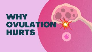 Why Does Ovulation Hurt?