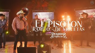 Perdidos de Sinaloa - El Pisotón / Ramito De Violetas [En Vivo]