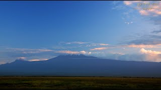 The East African Plains | Great Plains