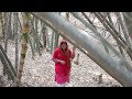 Badshah Jalal Da Teri Jang Lare Ga