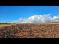 Too little too late. The sirens were sounded for the Kaanapali fire, but not for the Lahaina fire.