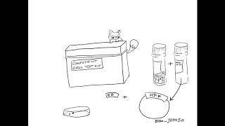 How to iGEM #6 - Distribution Kit