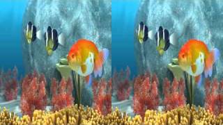 3D-Sea: Underwater TRIDELITY glasses-free clip (yt3d:enable=LR)