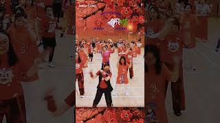 #chineseNewYear2024 2024 #鳳凰飛 #參考網絡 #免費跳舞班 #linedance #聯和墟社區會堂