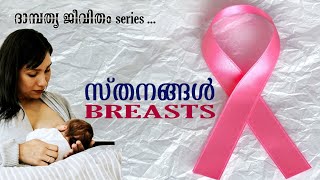 സ്തനങ്ങൾ | The Breast | സ്തനങ്ങളെ അറിയൂക