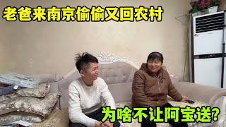 阿寶工作到淩晨，老爸為啥偷偷回農村老家？可憐父母心