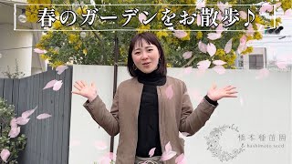 春のお庭をお散歩♪オススメ植物もご紹介