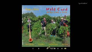 Pago Libre - «Wild Card» (2025, Leo Records). PROMO CLIP