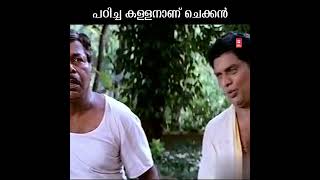 പഠിച്ച കള്ളനാണ് ചെക്കൻ #shorts #dileepcomedyscenes #jagathysreekumarcomedyscenes #shortsvideo