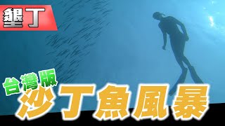 冬天就是要潛水！！在墾丁也能遇到「沙丁魚風暴」！？！？萬里桐/後壁湖出水口