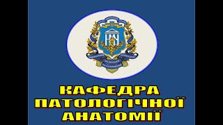 Лекція на тему: Вступ до курсу патоморфології