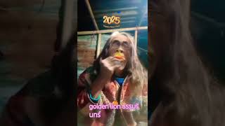 ไม่ว่าจะเป็นลิงชนิดไหนหรือสัตว์ชนิดไหนก็สมควรที่จะอนุรักษ์ไว้นะครับ🦍