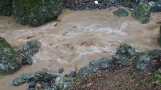 渓流にて突然の雨で約１時間で濁流になり横断不可能に