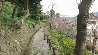 丸岡城 霞ヶ城公園庭園 工事進んでます【撮影 2023.12.19】 #shortsvideo #shortvideo #short #shorts #PowerShotS110 #PowerShot