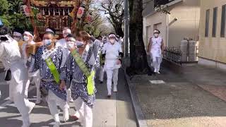 小田原　居神神社500年祭　神輿渡御