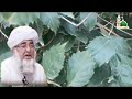 dushman ko barbad karne ka wazifa powerful wazifa for protection from enemy mufti zarwali khan