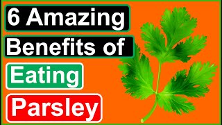 Parsley: 6 Health Benefits You Need to Know