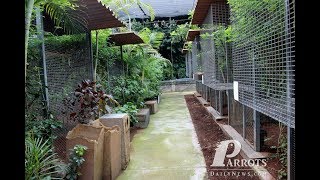 Aviary in kerala