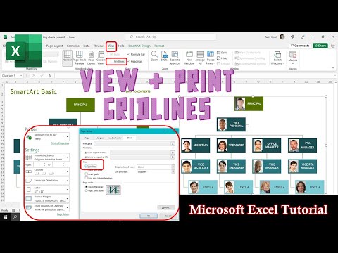 How to View and Print Gridlines in Microsoft Excel Tutorial