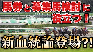 【血統論】重賞馬出現率が段違い!?新ラスムッセン・ファクター理論を紹介!! byずー