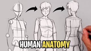 How To Draw HUMAN BODY | The Basics | Sketch Tutorial