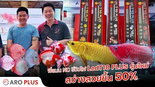 Aro Plus - NC. พารีวิวหลอดไฟใหม่ 