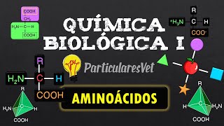 📋AMINOÁCIDOS 📌 IONIZACIÓN - PUNTO ISOELÉCTRICO 📌 Química general