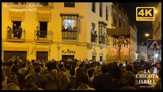 Amarguras | Virgen de la Amargura 2022 | Hermandad La Amargura