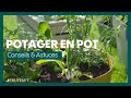 Un potager pour petit espace - Truffaut