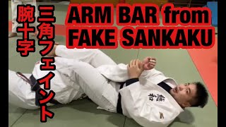 フェイク三角からの腕十字 Arm Bar from Fake Sankaku