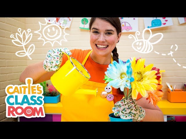 Caitie S Classroom Live Spring Videos For Kids