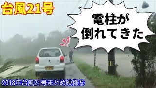 2018年台風21号被害まとめ映像⑤