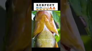Respect 😱🤯🔥 #respect #shorts