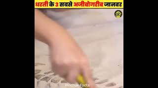 🔥दुनिया कि 3 सबसे अजीबो:गरीब जानवर 🤯#shorts ||