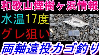 01-27　煙樹ヶ浜釣り情報・実釣編【第1226回】水温17度の海で ＃グレ狙い ＃遠投カゴ釣り #和歌山釣り #煙樹ヶ浜