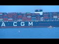 Halifax breaks record after welcoming massive container ship