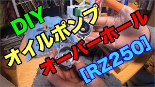 【素人DIY】2ストオイルポンプのオーバーホール【RZ250】【4L3】【バイク整備】